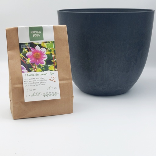 [BC99001] Dahlia Hartenaas - BIO med Artstone potte